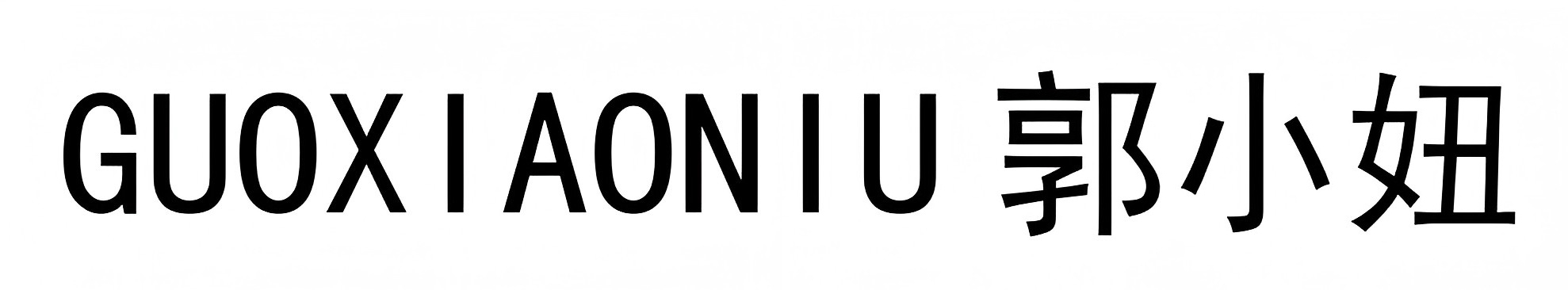 GUOXIAONIU Advertising Services